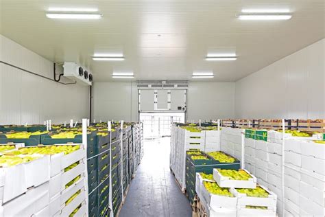 cold storage philippines|cold storage warehouse.
